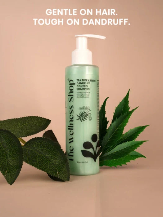 65103db7 cbd2 4e4c a1cd a0cfe6512883_81944592 47ae 4716 8e89 5f4076c01e8e